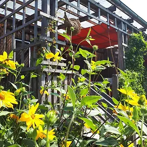Holzhaus Mit Grüner Aussicht Zum Erholen Ferienhaus